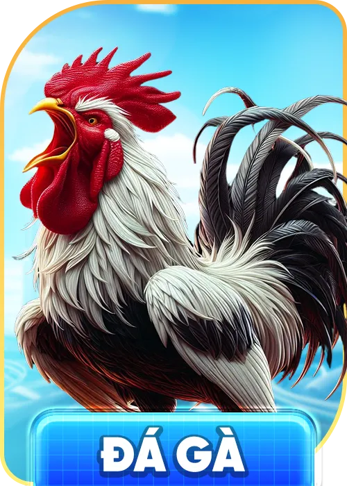 đá gà